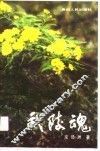 武陵魂