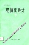 电算化会计  下