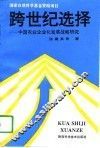 跨世纪选择  中国农业企业化发展战略研究
