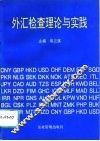 外汇检查理论与实践