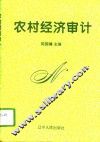 农村经济审计