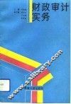 财政审计实务