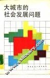 大城市的社会发展问题