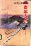 青年支点  青年成功心理指南 封面