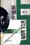 新刑法与知识产权犯罪