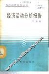 经济活动分析报告