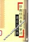 任期经济责任审计理论与实务