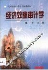 经济效益审计学