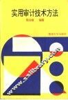 实用审计技术方法