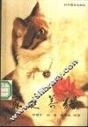 家庭养猫
