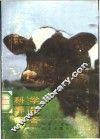 科学养牛问答