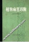 植物病害诊断