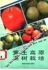 黄土高原果树栽培