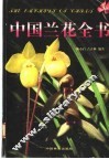 中国兰花全书