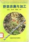 野菜采集与加工
