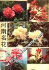 河南名花