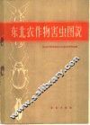 东北农作物害虫图说
