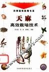 天麻高效栽培技术