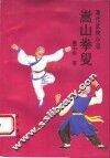 嵩山拳叟 电子书封面