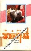 家庭养猫