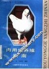 肉用鸽养殖指南