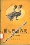 狮头鹅饲养法