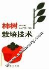 柿树栽培技术