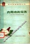 肉用鸡的饲养