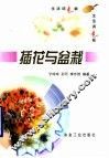 插花与盆栽