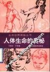 人体生命的奥秘