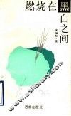 燃烧在黑白之间