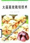 大蒜高效栽培技术