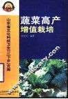 蔬菜高产增值栽培