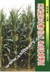 玉米超常早播及高产多收种植模式