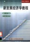 新发展经济学教程