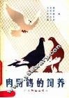 肉用鸽的饲养