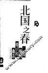 北国之春  三用外国电子琴曲选