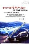 重读中国汽车产业的规模经济策略 组织能力的视角 an analytical framework of organization capability