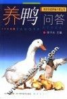养鸭问答