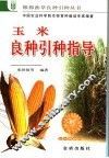 玉米良种引种指导