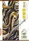 图文精解养鳝鱼技术