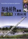 湿地植物及其工程应用