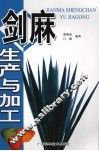 剑麻生产与加工