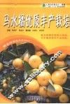 马水橘优质丰产栽培