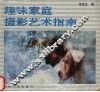 趣味家庭摄影艺术指南