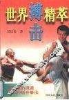 世界搏击精萃