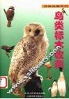 鸟类标本收藏