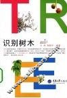 识别树木