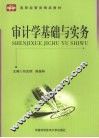 审计学基础与实务