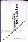 农村剩余劳动力转移与内生技术进步模式